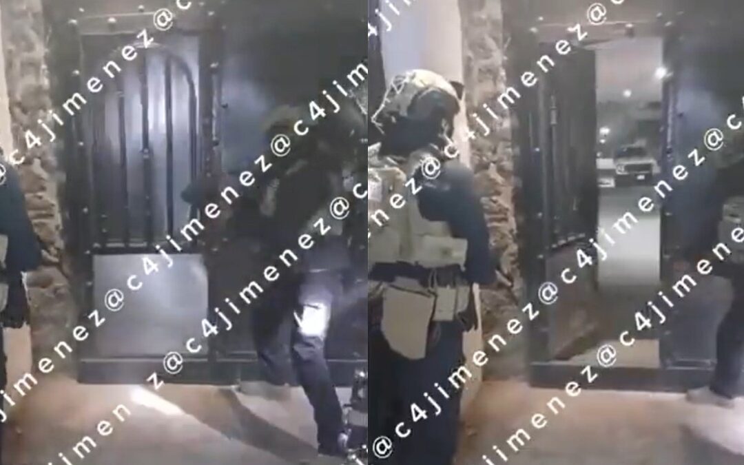 Xochimilco: Nacen Perritos Durante Operativo Policial contra el Cártel de Sinaloa